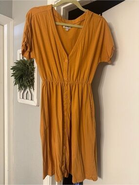 Pact organic cotton dress
